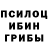 Псилоцибиновые грибы Psilocybine cubensis marian_aaa