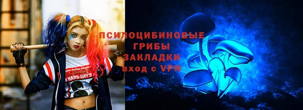 дмт Белокуриха