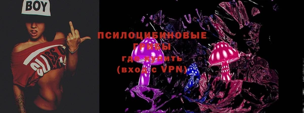 PSILOCYBIN Белоозёрский