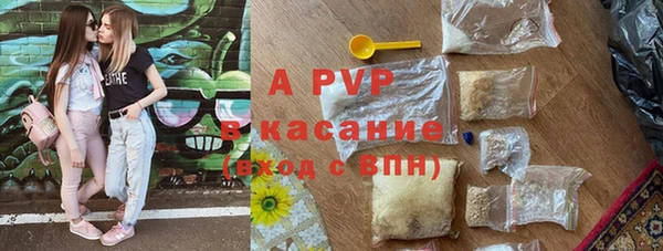 PSILOCYBIN Белоозёрский