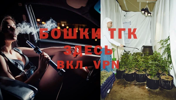дмт Белокуриха