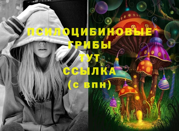 PSILOCYBIN Белоозёрский