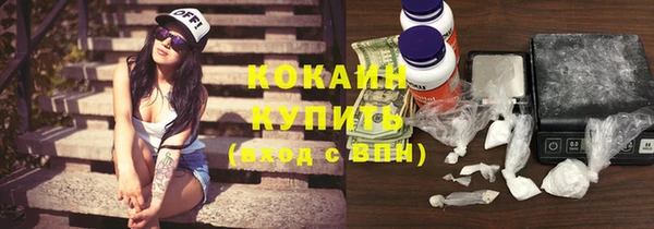 дмт Белокуриха