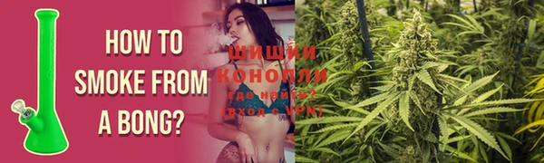 PSILOCYBIN Белоозёрский