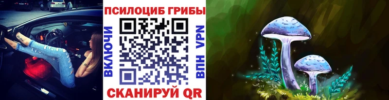 купить наркоту  mega ССЫЛКА  Галлюциногенные грибы мухоморы  Жуков 