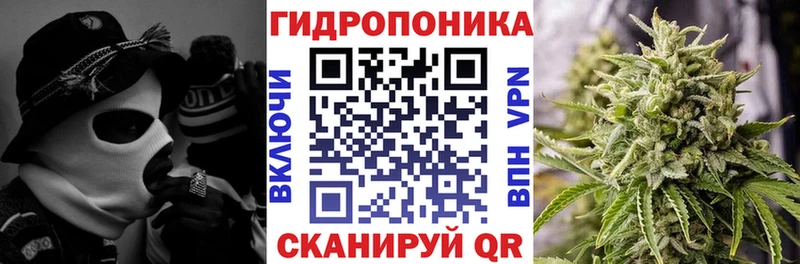 Канабис план  мега зеркало  Жуков 