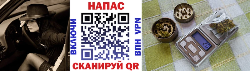 МАРИХУАНА семена Жуков